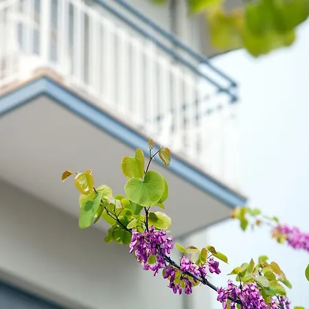 Astoria * 리치오네