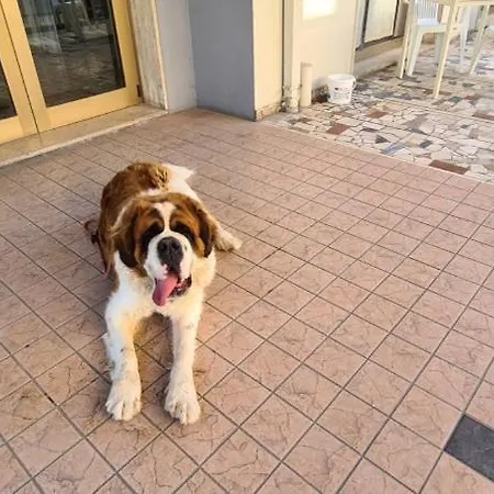 Astoria Ριτσιόνε